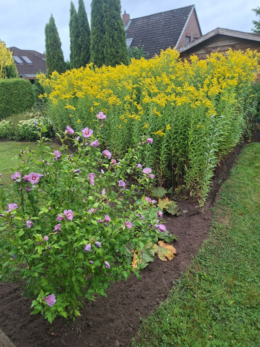 Hintergartenbeet nach der Beetpflege